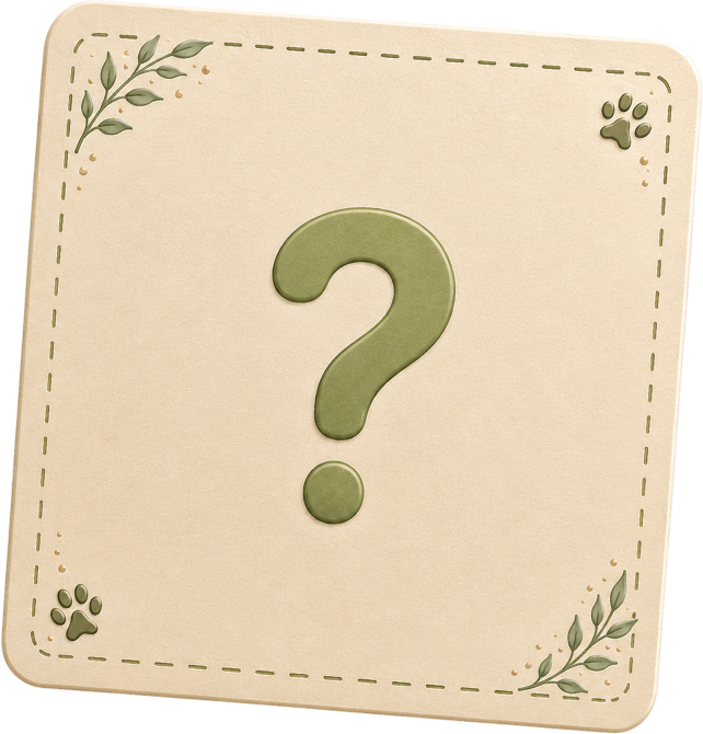 Mystery adventure card